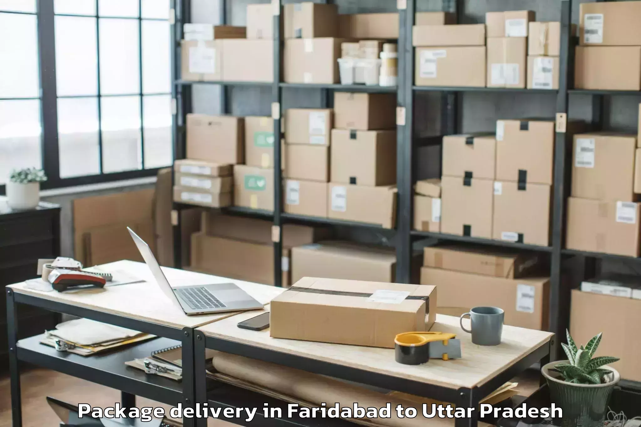 Reliable Faridabad to Captainganj Package Delivery